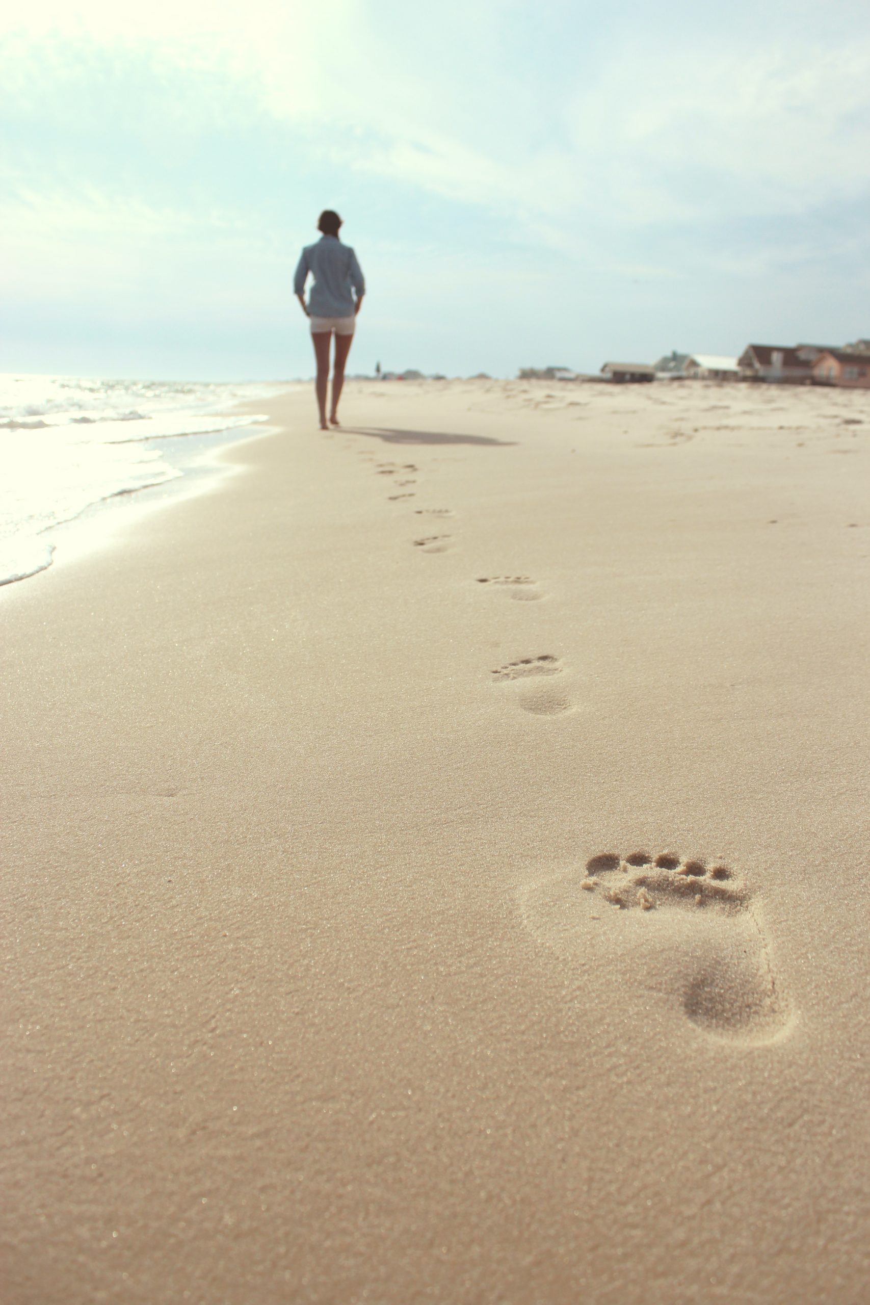 zack-minor-6_pFPo2YM9c-unsplash